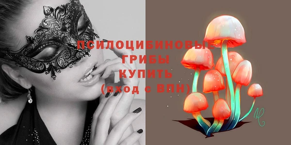 apvp Вяземский