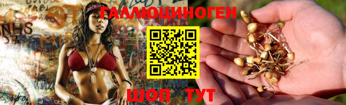 Галлюциногенные грибы ЛСД Гуково